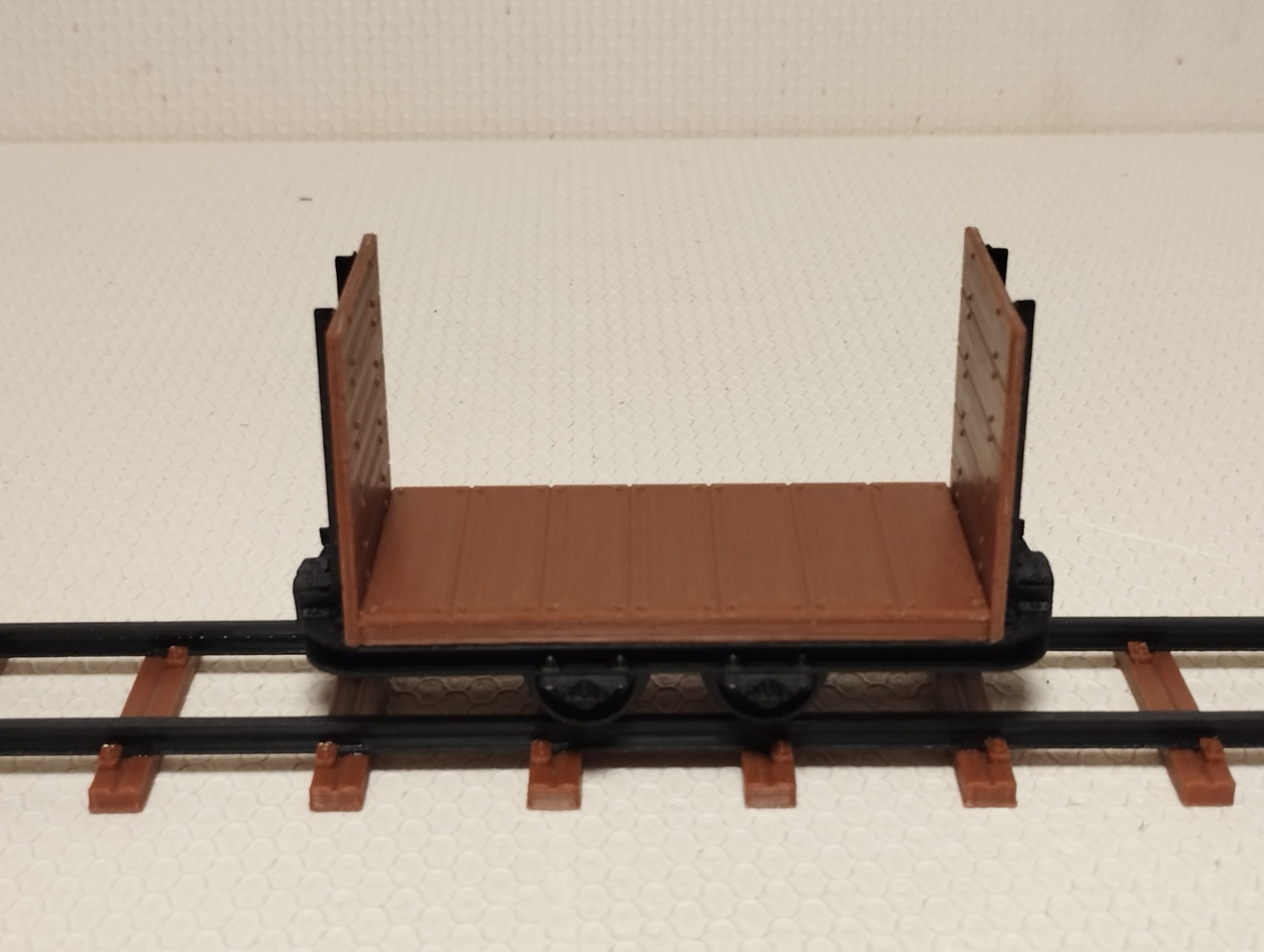 Stirnwandlore – Bild 6