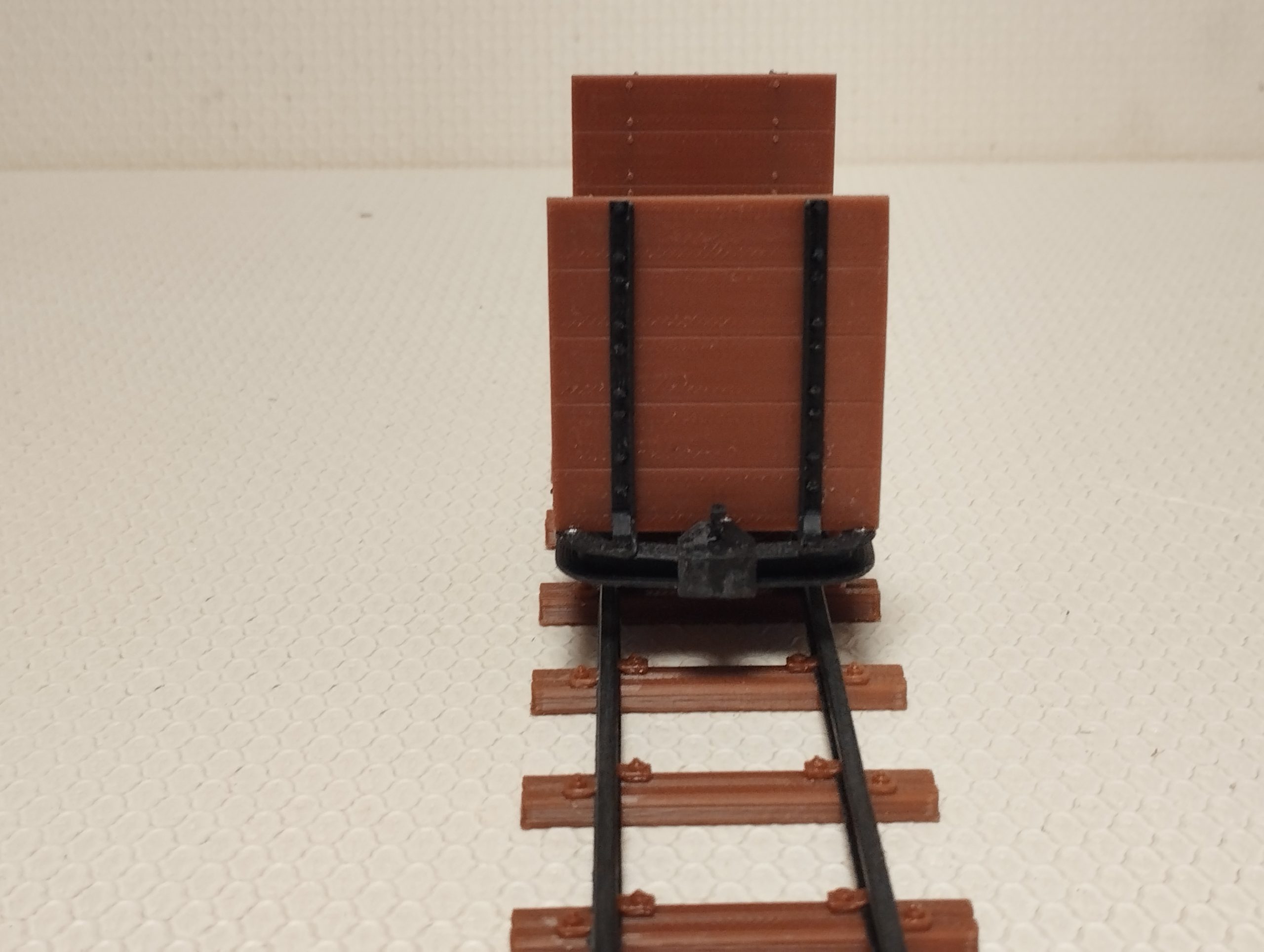 Stirnwandlore – Bild 5