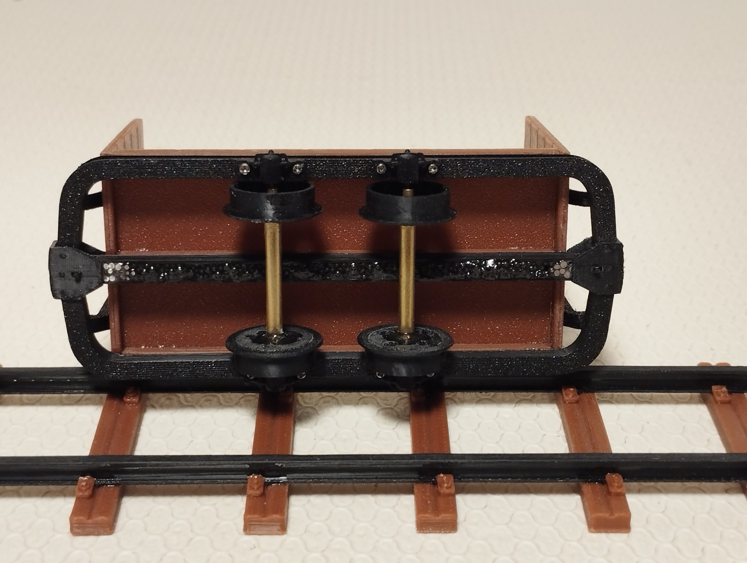 Stirnwandlore – Bild 4